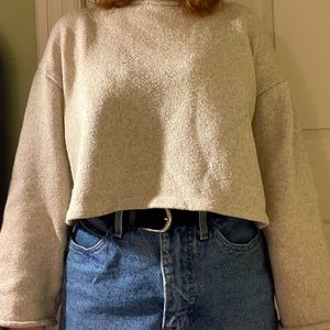 Zara- Beige Cropped Sweater